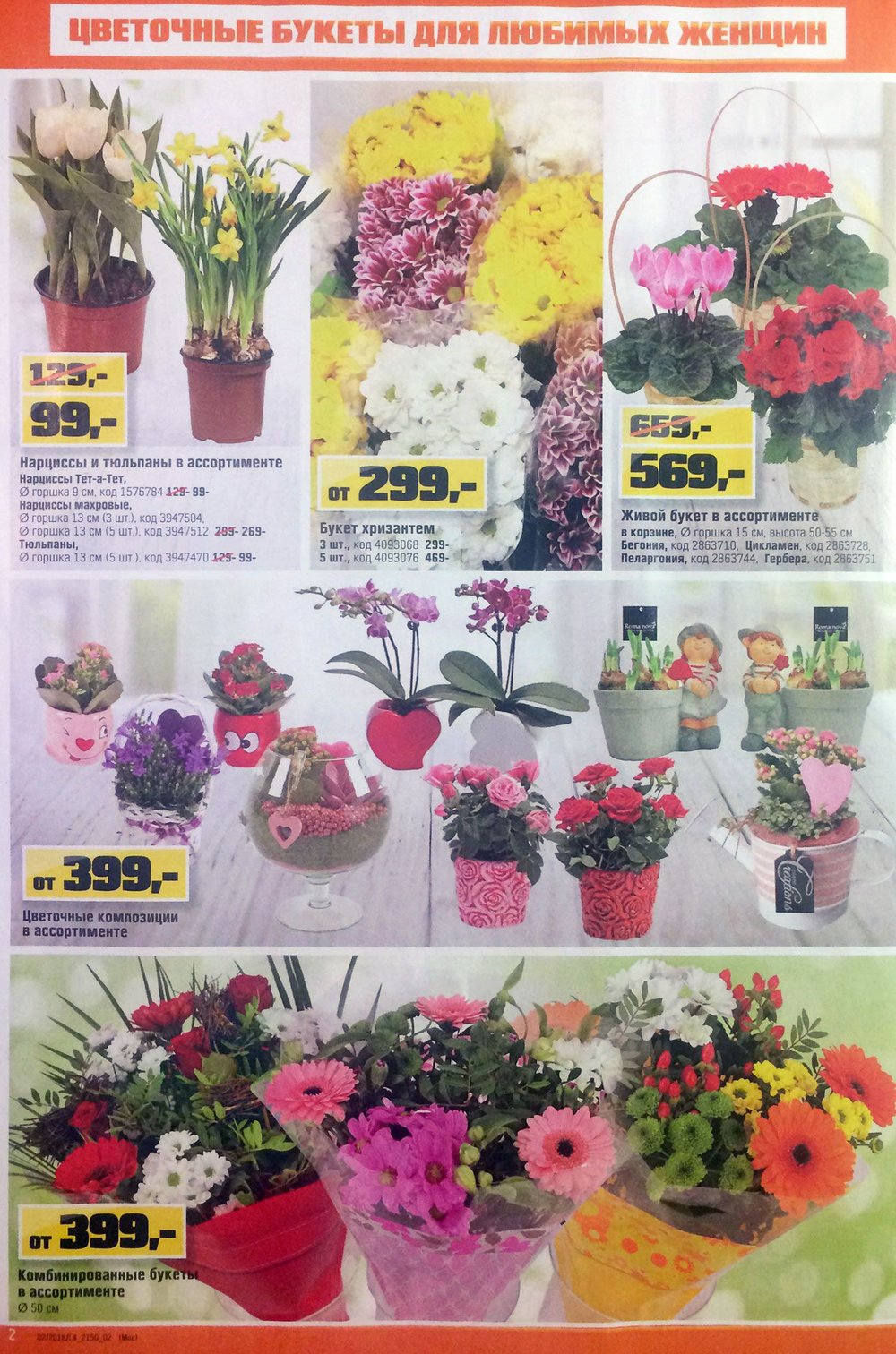 Комнатные цветы в гипермаркете лента