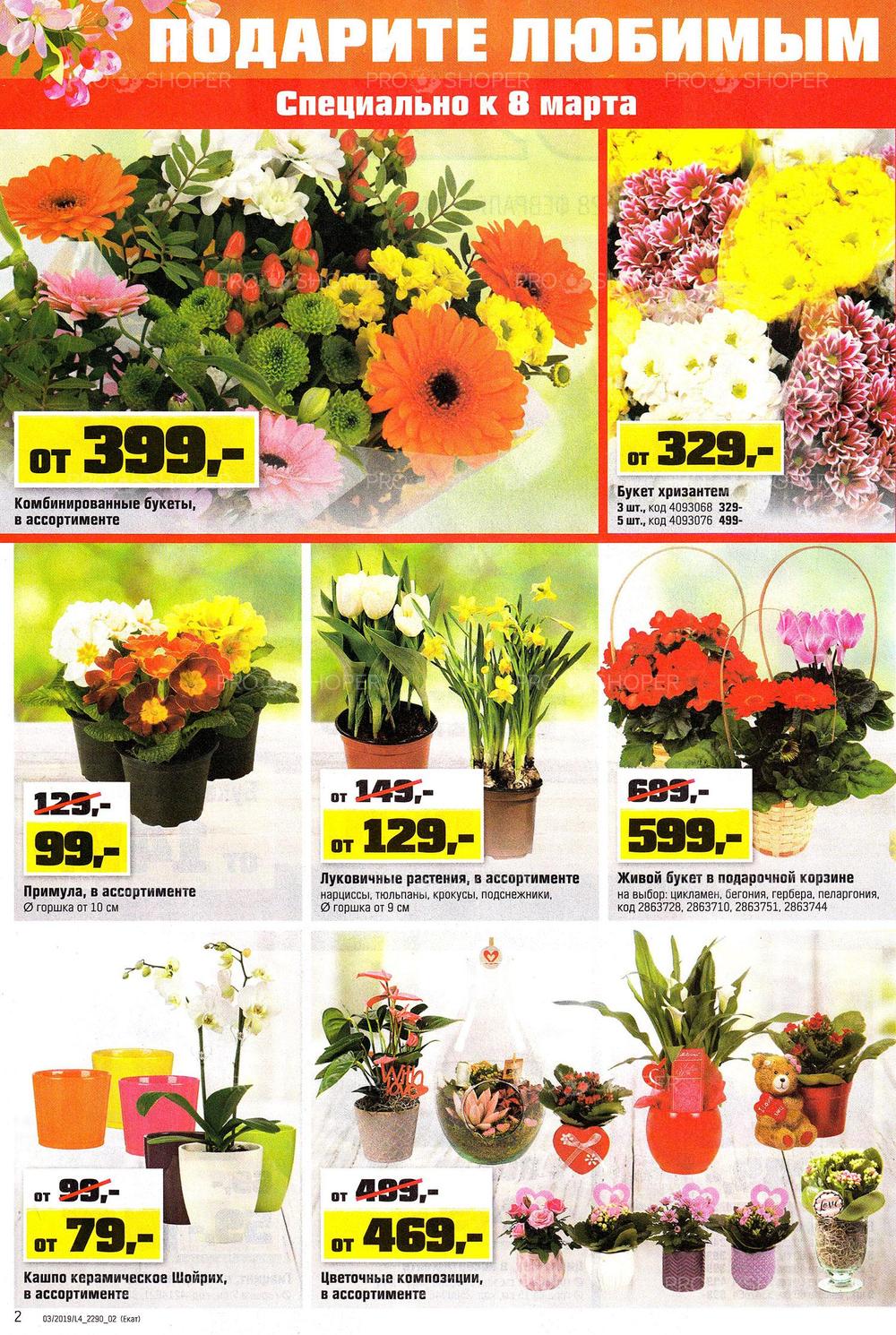 Оби каталог цветов и цены