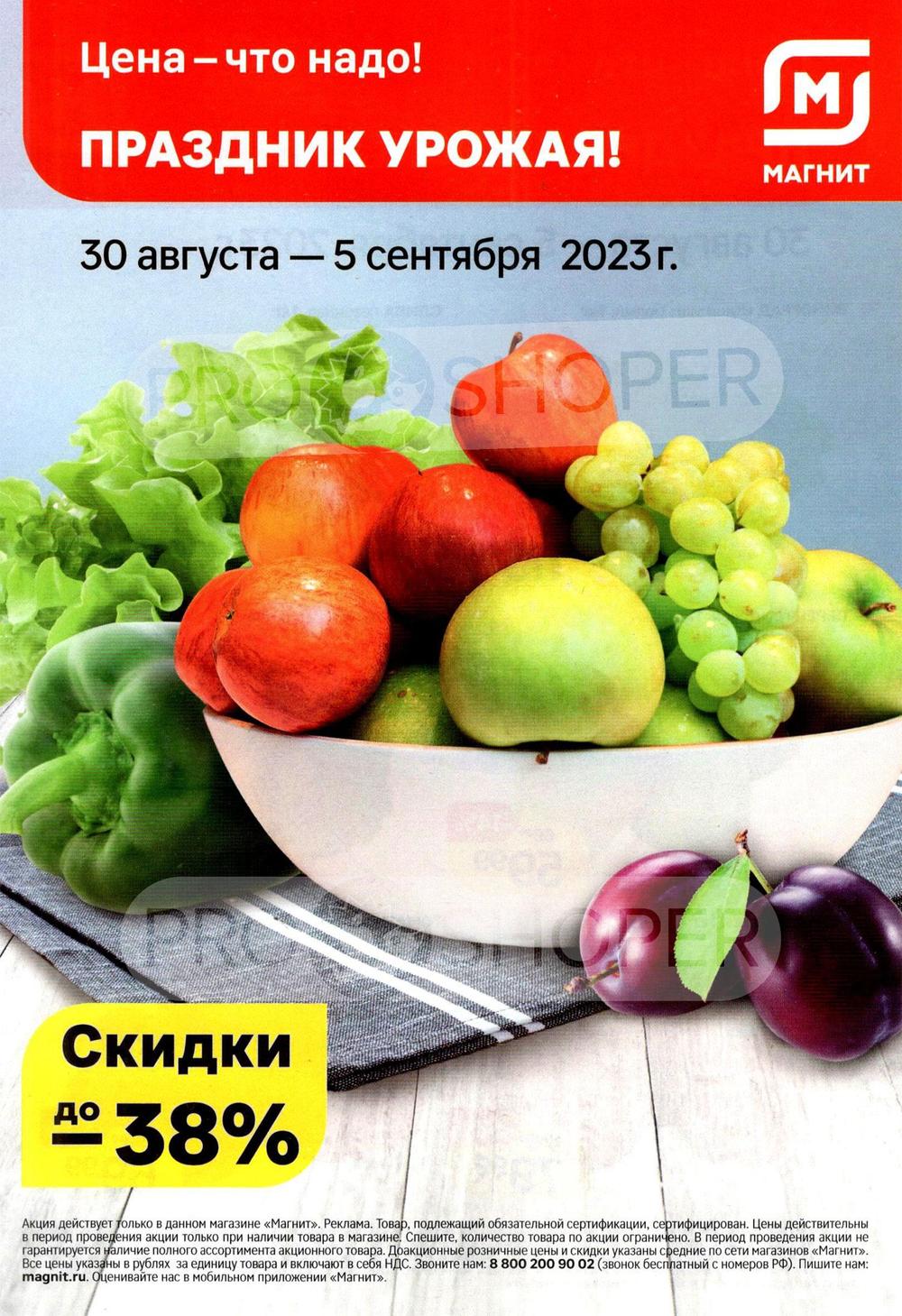 Сезонный каталог акций «Праздник урожая» в Магните у дома с 30 августа 2023  - Зеленоград (Москва)