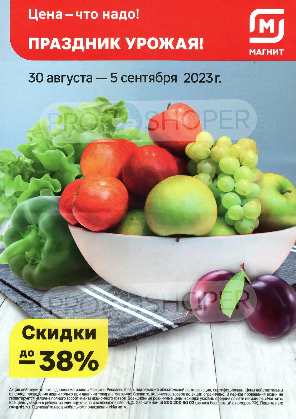 Сезонный каталог акций «Праздник урожая» в Магните у дома с 30 августа 2023  - Владимир