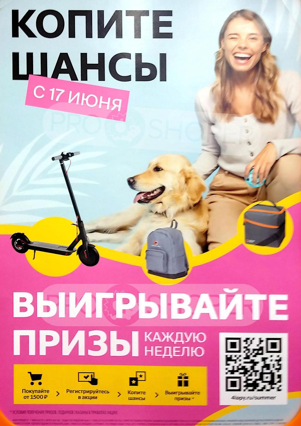 Каталог Четыре лапы - Акции сегодня - с 1 июля 2024