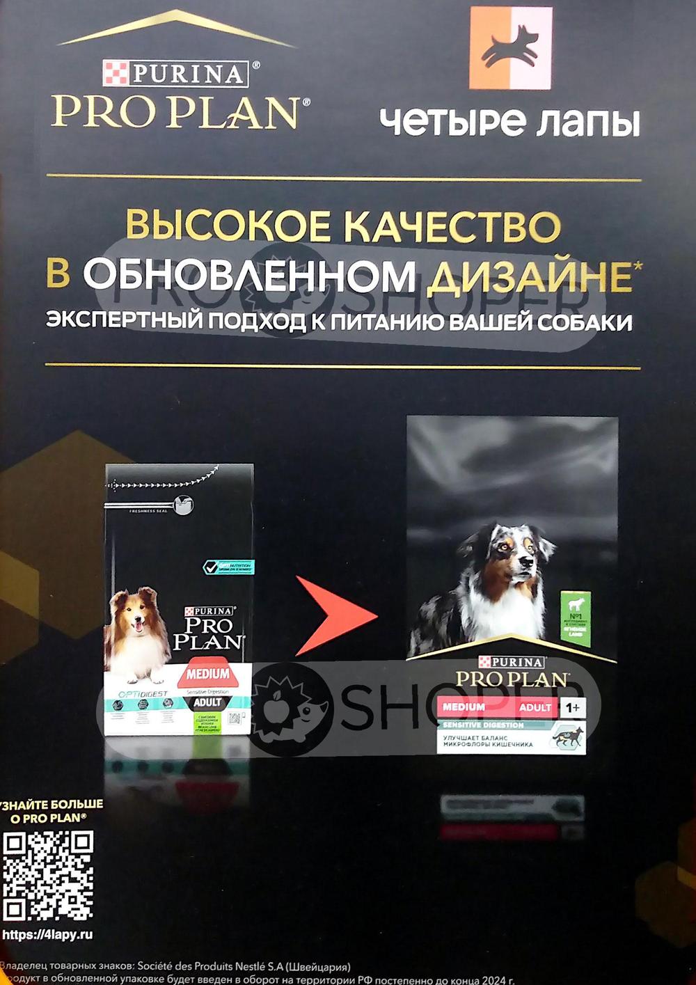 Каталог Четыре лапы - Акции сегодня - с 1 июля 2024