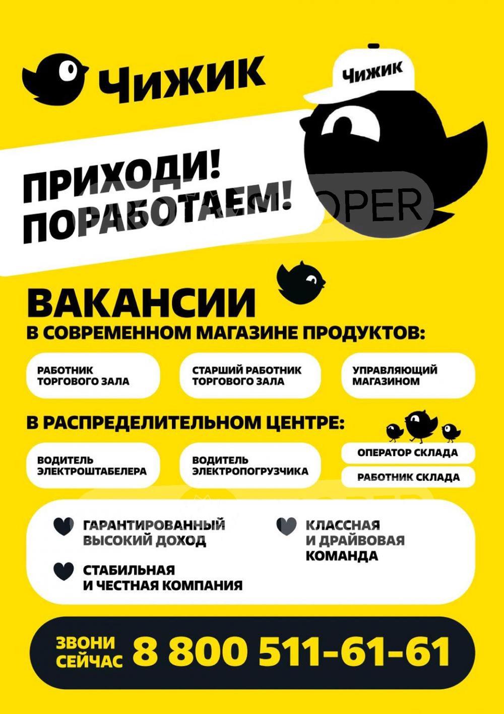 Каталог Чижик - Акции сегодня - с 15 августа 2024 - Ростов-на-Дону