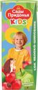 Сок Сады Придонья Kids Яблоко-шиповник для детей с 6 мес. 200мл