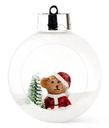 Украшение Seasons Новогодний Шар С Декором Внутри елочное декоративное в ассортименте 1шт
