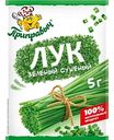 Лук зелёный сушёный Приправыч, 5г