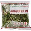 Салатная смесь Валенсия Дмитровские овощи фриссе, романо, свёкла, морковь, 180 г