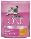 Сухой корм Purina ONE с курицей и цельными злаками для котят 750 г
