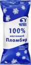 Мороженое пломбир ЧЕЛНЫ-ХОЛОД 100% Настоящий пломбир 12%, без змж, пакет, 900г