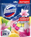 Блок для унитаза DOMESTOS Power 5 Магнолия, лимон, 5шт