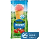 Мороженое АГРОКОМПЛЕКС пломбир Кубанская клубника 0,1кг