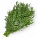 Укроп Global Village 100г