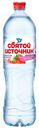 Вода питьевая Святой Источник негазированная со вкусом клубники 1,5 л