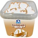 Мороженое 100% НАСТОЯЩИЙ ПЛОМБИР сгущенное молоко, 500г