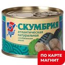 5 МОРЕЙ Консервы Скумбрия нат с маслом 250г ж/б с кл:24