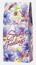 Чай черный Spring feelings байховый Hyleys 50г в ассортименте