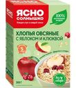 Хлопья овсяные Ясно Солнышко клюква-яблоко, 300г