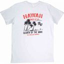 Футболка мужская Donland Hawaii, цвет: белый, размер: M-2XL
