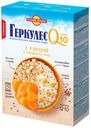 Овсяная каша Русский продукт момент Геркулес Q10 с курагой и семенами льна 250г