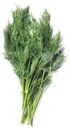 Укроп Маркет Fresh, 50г