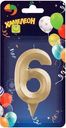 Свеча Хамелеон Грань цифра 6 1шт.