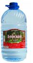 Вода минеральная «Борская» негазированная лечебно-столовая, 5 л