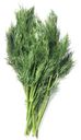 Укроп Маркет Fresh, 50г