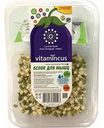 Салатный ростковый микс Vitamincus Белок для мышц, 100 г