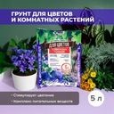 Грунт для цветов и комнатных растений, Азбука Роста, 5 л