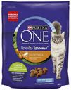 Корм Purina ONE сухой для взрослых кошек Природа Здоровья с облепихой с высоким содержанием индейки 680 г