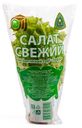 Салат свежий Вологда