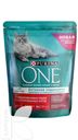 Корм PURINA ONE сухой с говядиной-пшеницей для стерилизованных кошек-котов 750г