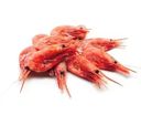 Креветки Северные неразделанные варено-мороженые 90+ 1кг