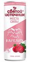 Напиток Святой Источник Места силы Карелия с ароматом клюквы и брусники газированный, 0,33 л