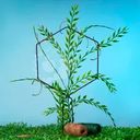 Опора для растений, GreenArt