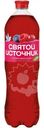Напиток газированный Святой Источник Вода+Сок со вкусом лесных ягод, 1л