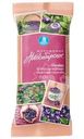 Мороженое Страна Гулливерия Новосибирское пломбир со вкусом черники в вафельном стаканчике 12% БЗМЖ 80г