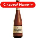 BERGAUER Fest Пиво св фильтр 5% 0,5л ст/бут(Тагил):20