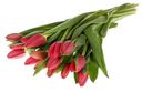 Букет из тюльпанов 8 марта 15шт (товар может отличаться от товара на фото)*