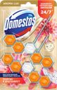 Блок для унитаза DOMESTOS Power 5 duo Экзотический букет, 100г