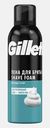 Пена для бритья Gillette для чувствительной кожи 200мл