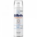 Пена для бритья Gillette Skinguard Sensitive для чувствительной кожи, 250 мл