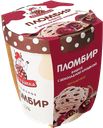 ПЕСТРАВКА Морож пломб ведро вишня/шок крош 0,27кг(Купинск):6