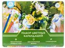 Набор цветных карандашей, Kid's Fantasy, 30 шт., в ассортименте