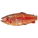 Форель радужная потрошёная с головой горячего копчения
