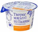 Творог мягкий Из Талицы с наполнителем Сочный Нектарин 3%, 90г