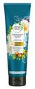 Бальзам для волос Herbal Essences «Масло моринги», 275 мл