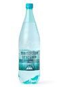 Вода Новотерская Целебная минеральная газированная 1.5л