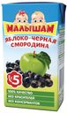 Нектар яблочно-смородиновый ФрутоНяня Малышам, с 6-ти мес., 125 мл