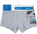 Трусы для мальчика Donland Boys, размеры 110-116